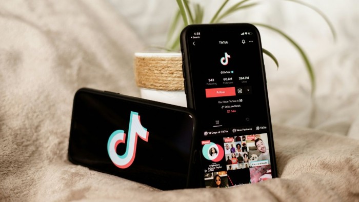 L’AEPD alerta de l’enviament de dades personals dels usuaris de TikTok a la Xina