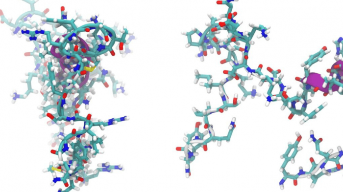 La URV crea una eina per analitzar automàticament més de 250.000 estructures de proteïnes i accelerar el disseny de fàrmacs