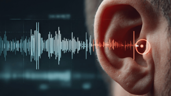 Una recerca de la UOC vol evitar errors mèdics en pacients sords amb IA i llenguatge planer