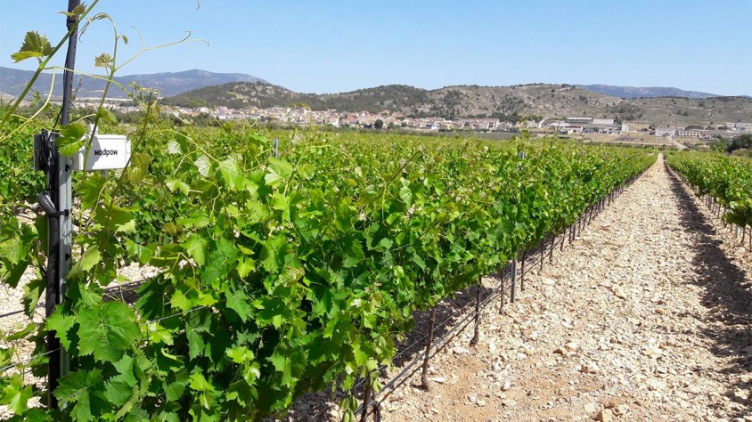 El sistema de monitoratge està format per uns sensors que controlen l'entrada i drenatge d'aigua al sòl i envien les dades al núvol