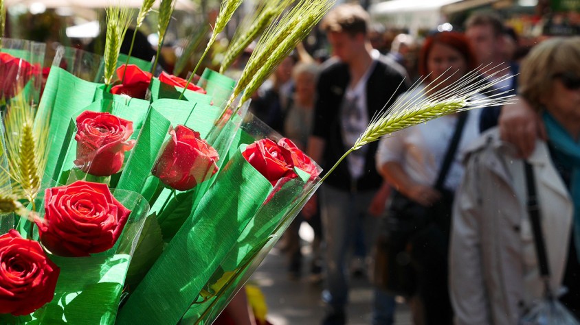 Les millors aplicacions per celebrar Sant Jordi
