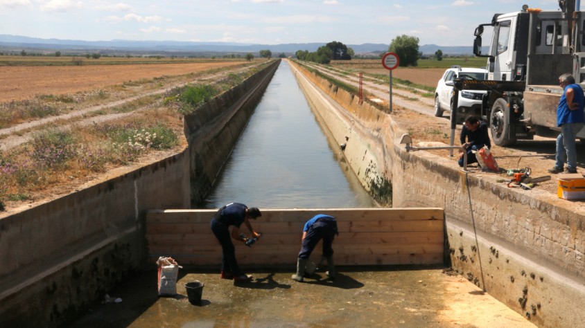 El COEAC calcula que modernitzar la infraestructura que rega el canal d'Urgell tindria un cost de 1.200 milions d'euros