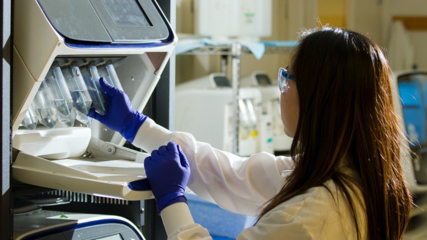 Una de cada quatre empreses catalanes dedicades a la salut s'especialitzen en biotecnologia