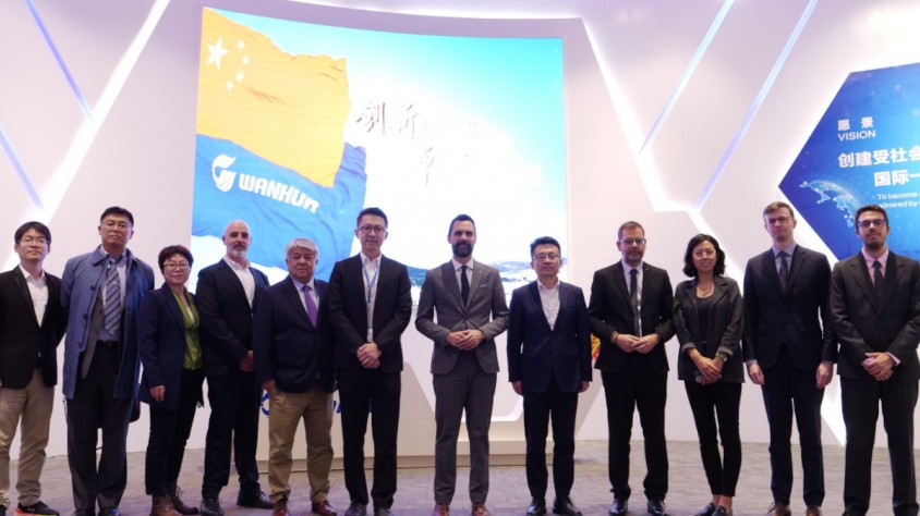 Wanhua té més de 27.000 treballadors arreu del món i més de 5.100 patents registrades, però a Europa només tenia presència a Hongria i la República Txeca