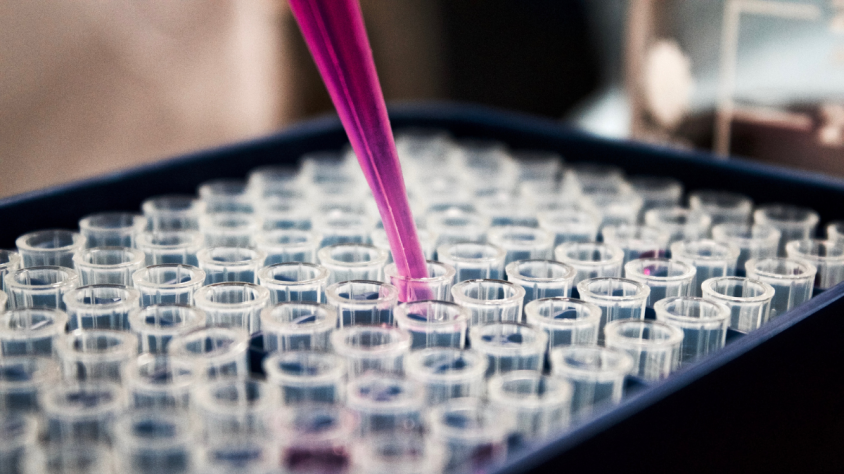 Dues de les investigacions se centren en un nou tipus de teràpia contra el càncer ossi i una estratègia per tractar els traumatismes que afecten el sistema nerviós central