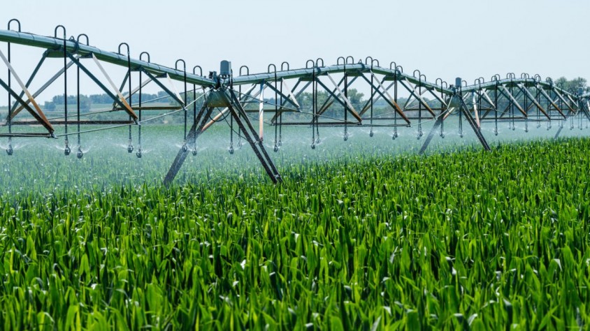 ModpW AgriTechologies és capaç d’oferir una gestió detallada del reg i la fertilització, així com informació detallada mitjançant sensors i estudis agronòmics