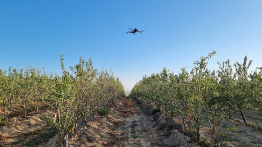 La fructicultura és un dels àmbits que es testaran a terres lleidatanes