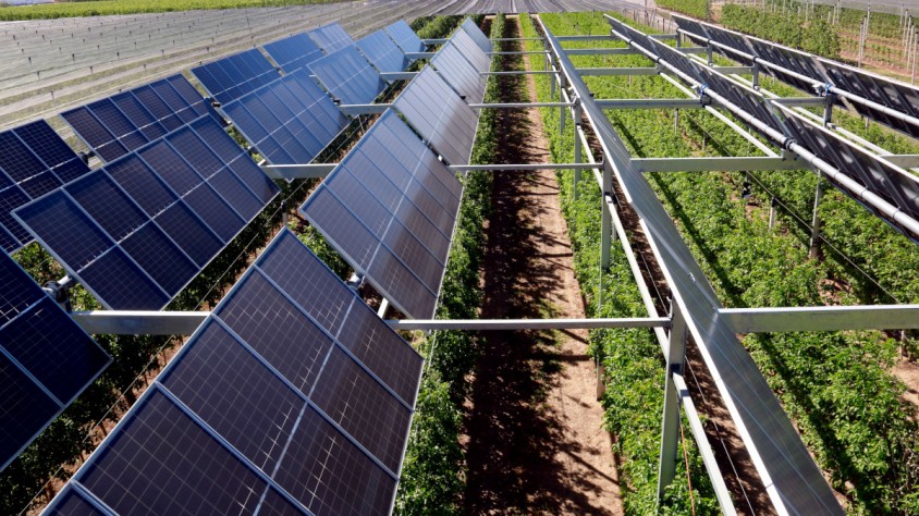 La meitat dels panells instal·lats són dinàmics i es mouen durant el dia per aprofitar la llum del sol, mentre que l'antra meitat són panells fixos semitransparents