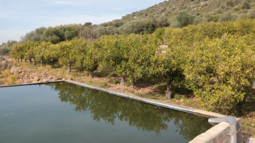 A més de les plantes solars, es canviaran bombes que facin més eficient el filtratge de l'aigua i es proporcionarà un sistema per tenir un telecontrol integral del reg