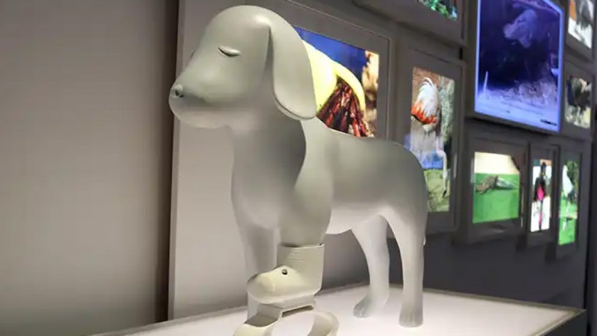 'PRINT3D. Reimprimir la realitat' acosta la part tècnica i social de la tecnologia a la ciutadania