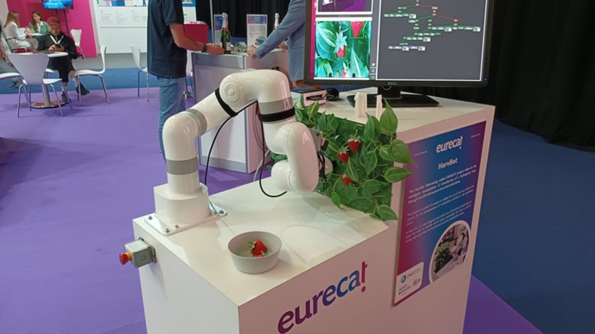 Enkitek robotitza la recol·lecció de la fruita en agricultura sense sòl