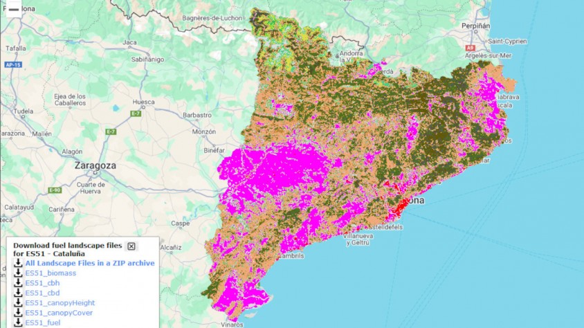 El servidor GIS desenvolupat pel CTFC permet visualitzar els combustibles forestals als diferents nivells administratius d'Europa