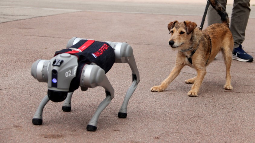 El gos robot Khlipper s'ha passejat pels carrers de Barcelona, on ha interactuat amb vianants i gossos