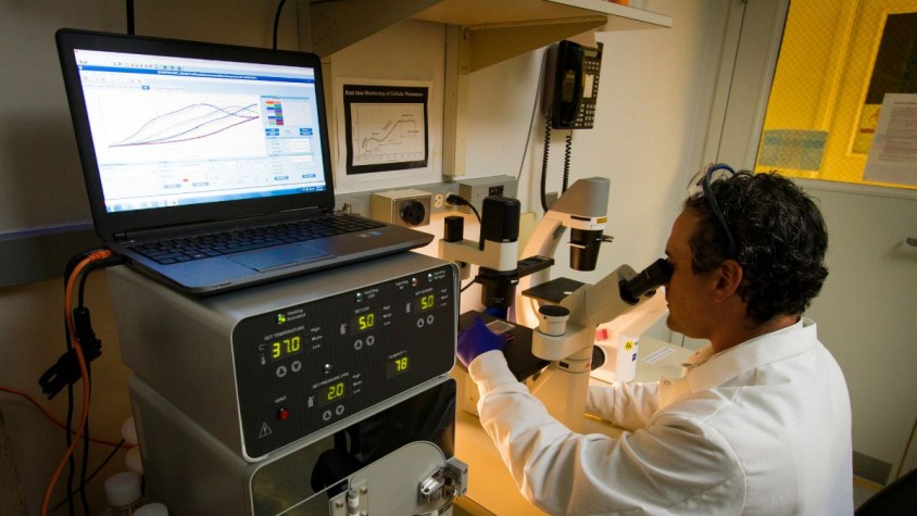 Per entrenar el model automatitzat, s’han introduït dades de 1.598 tomografies computades (TAC) de 4.908 tumors hepàtics primaris o metastàtics