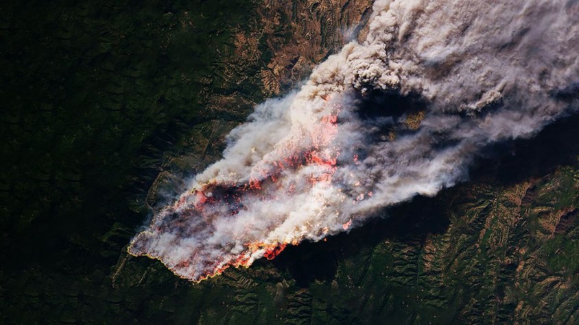 Les imatges amb satèl·lit o els sensors instal·lats en el terreny permeten extreure informació sobre el bosc i el sotabosc com la humitat o la temperatura i preveure el rendiment