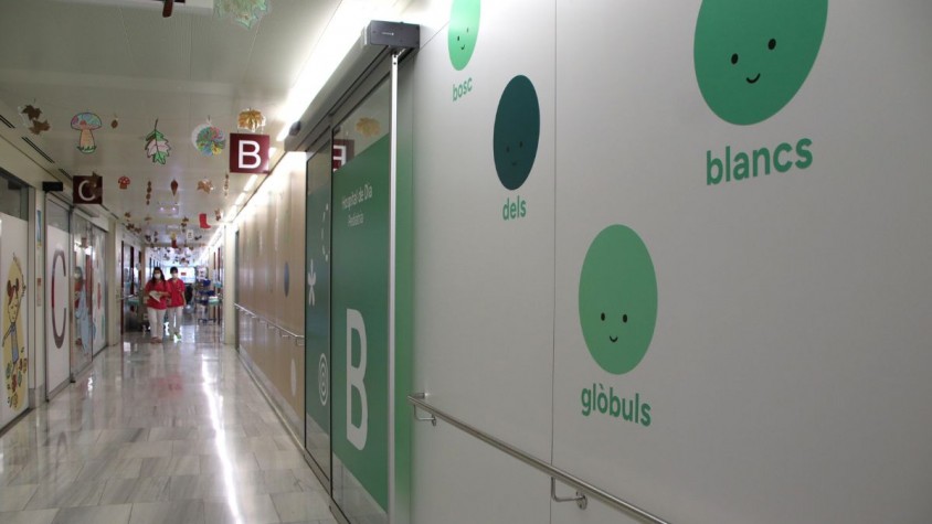 La iniciativa té com a objectiu construir una xarxa interoperable i federada de nodes automàtics, amb un node central ubicat a Ministeri de Sanitat