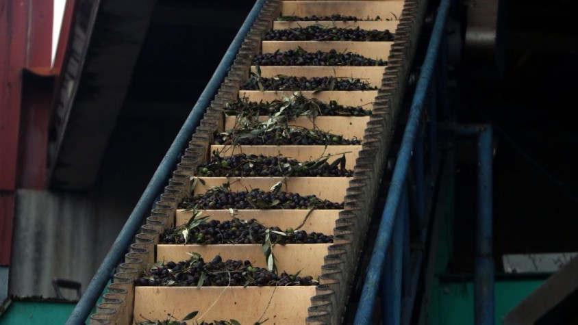 Empordàlia, amb el projecte ETRIA, ha estat guardonada amb el primer sector primari en els guardons Catalunya Impacta, que atorga el Cercle Tecnològic