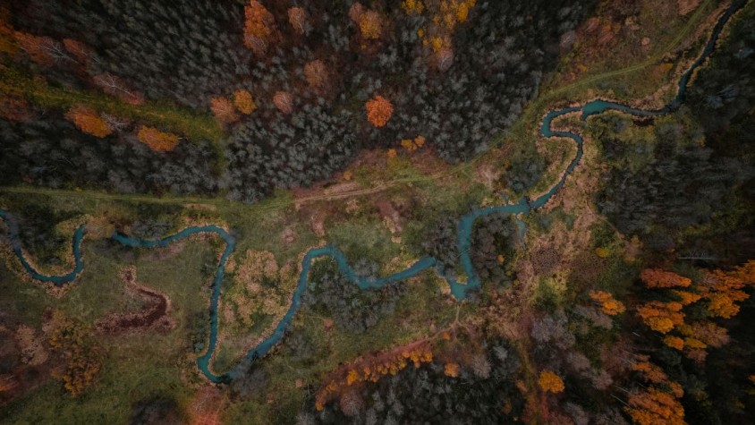 L’eina ofereix una resposta ràpida i informada i ajuda a decidir on actuar, quins recursos desplegar i quines zones protegir amb més urgència
