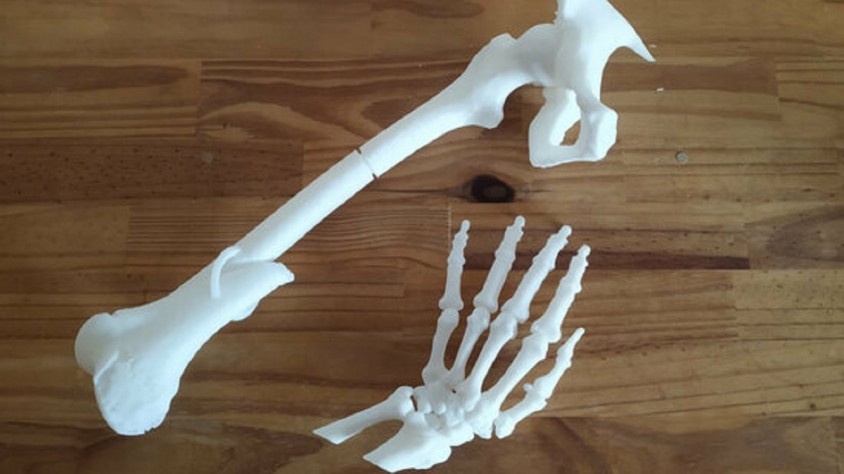 Ossos impresos en 3D